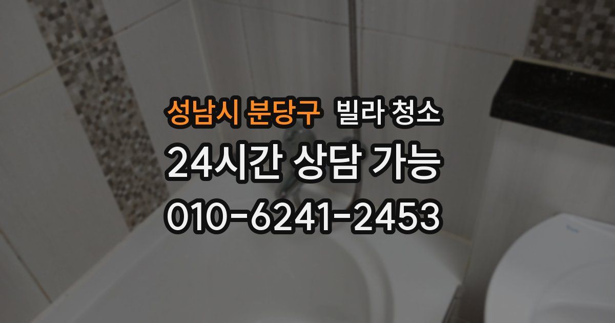 성남시 분당구 빌라 청소