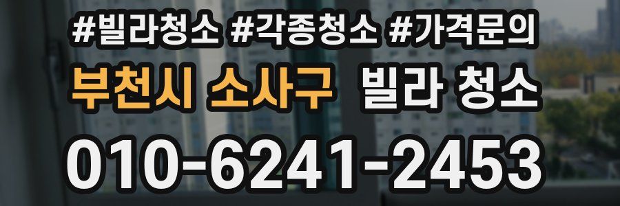 부천시 소사구 빌라 청소