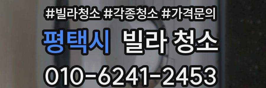 평택시 빌라 청소