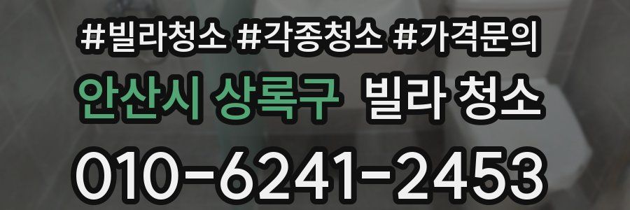 안산시 상록구 빌라 청소