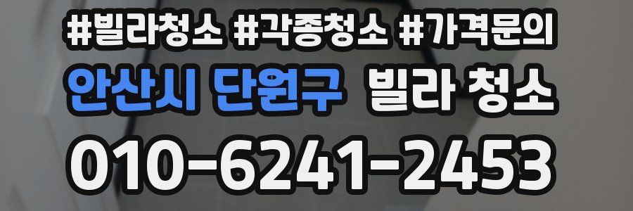 안산시 단원구 빌라 청소