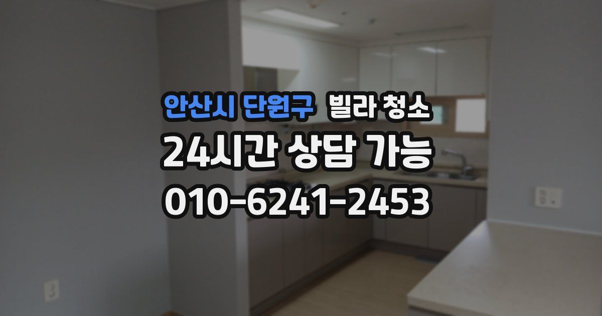 안산시 단원구 빌라 청소