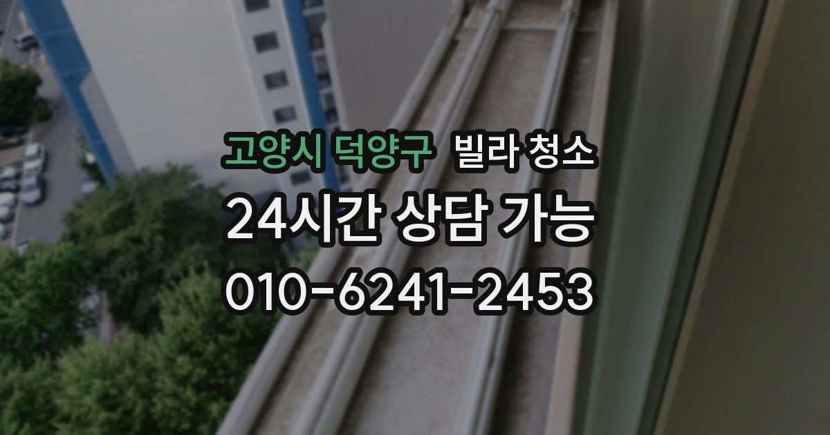 고양시 덕양구 빌라 청소