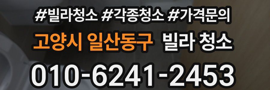 고양시 일산동구 빌라 청소