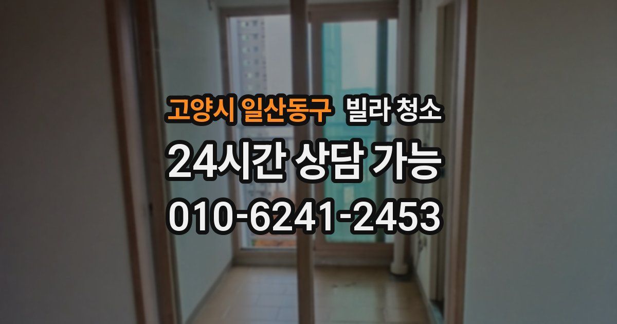 고양시 일산동구 빌라 청소