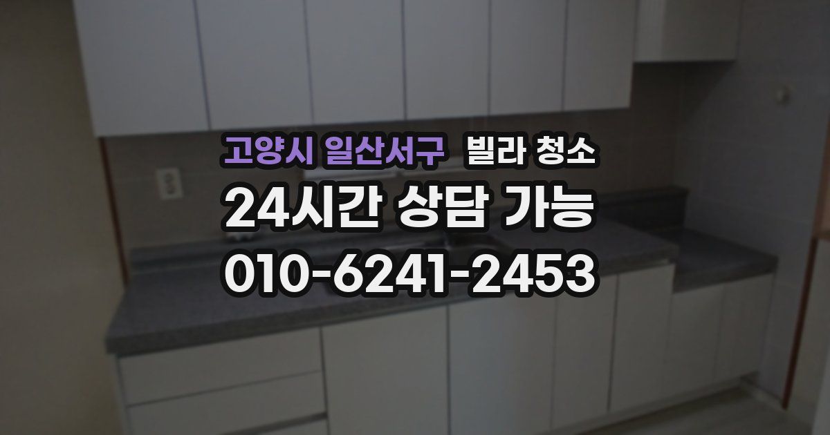 고양시 일산서구 빌라 청소