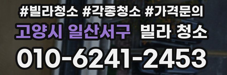 고양시 일산서구 빌라 청소