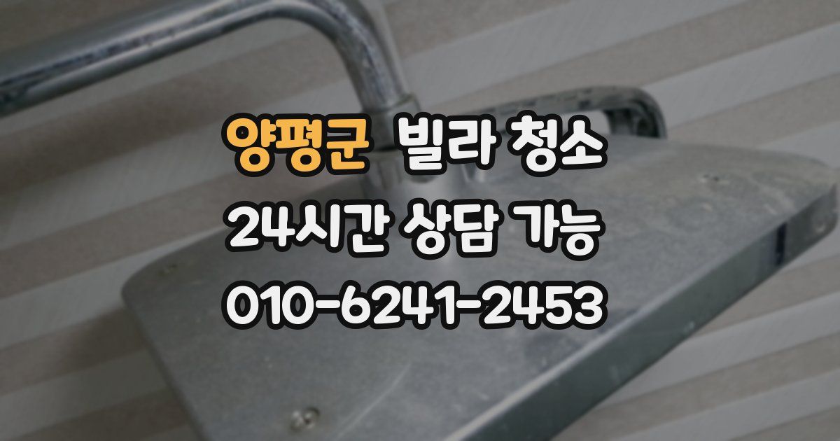 양평군 빌라 청소