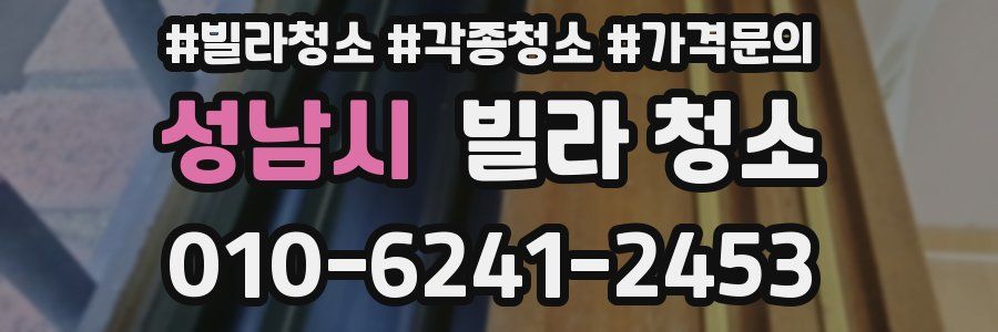 성남시 빌라 청소