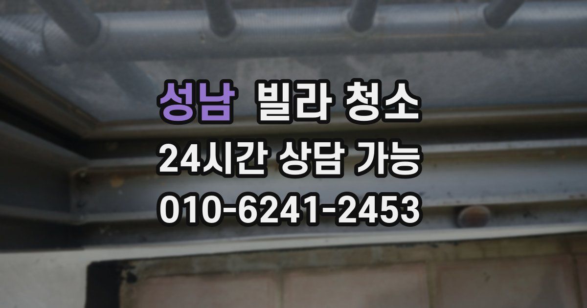 성남 빌라 청소