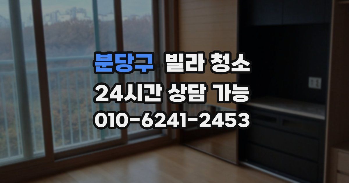 분당구 빌라 청소