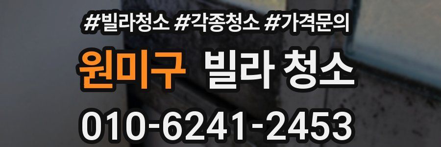 원미구 빌라 청소