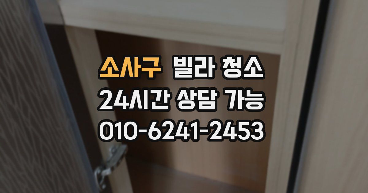 소사구 빌라 청소