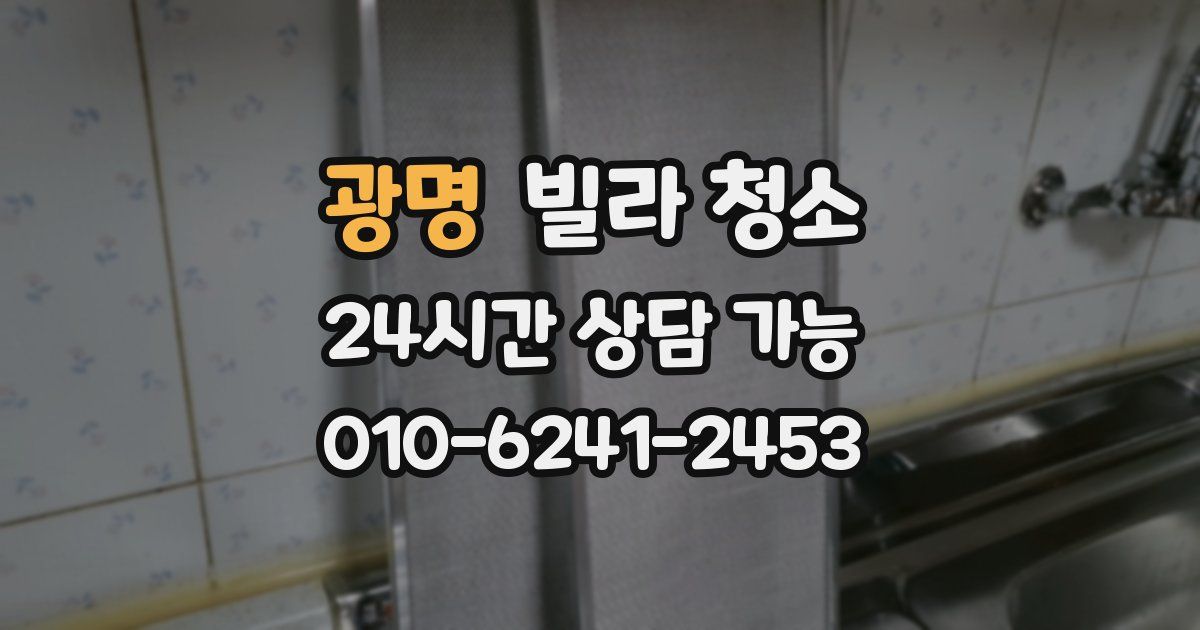 광명 빌라 청소