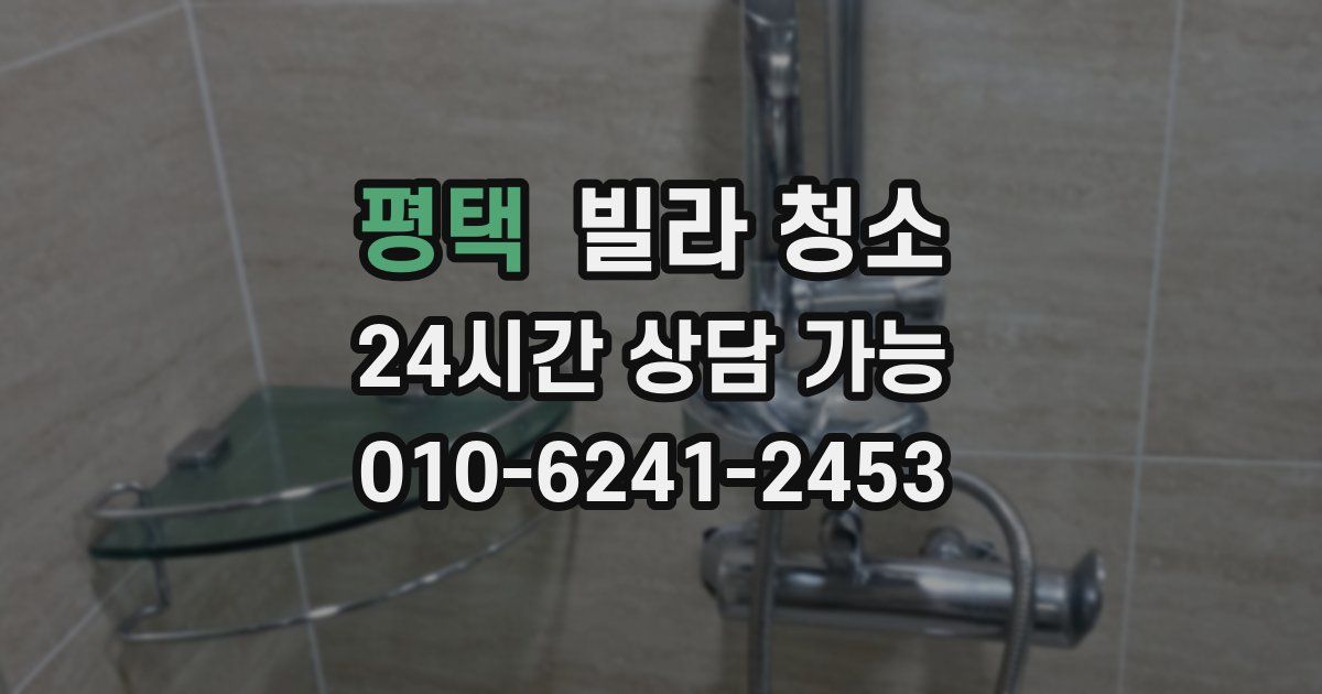 평택 빌라 청소