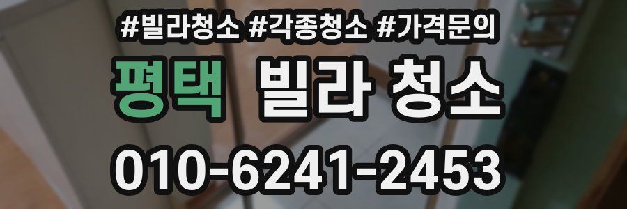 평택 빌라 청소