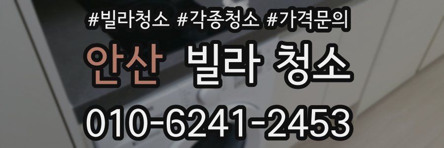 안산 빌라 청소