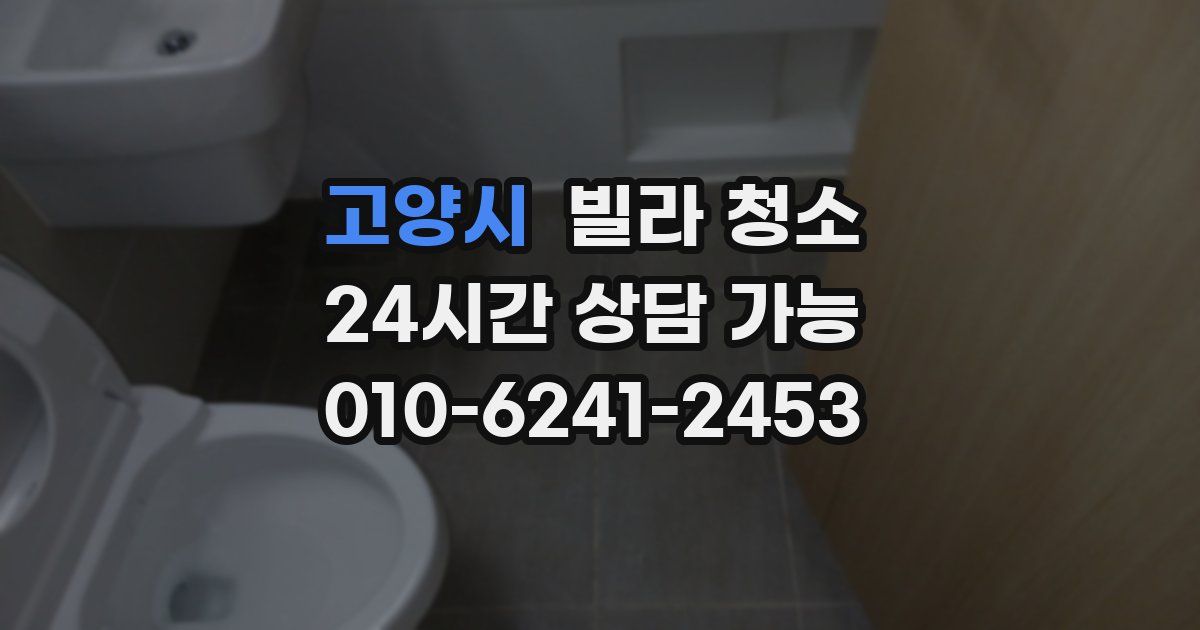 고양시 빌라 청소