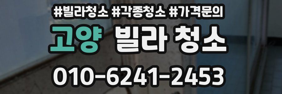 고양 빌라 청소