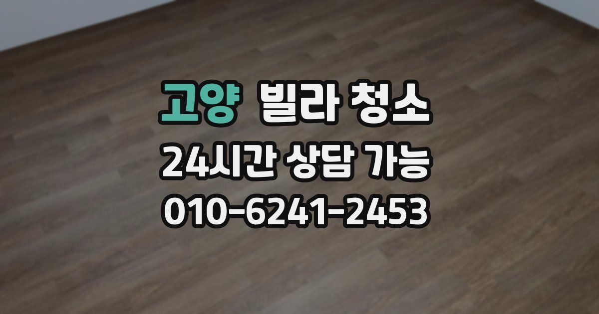 고양 빌라 청소