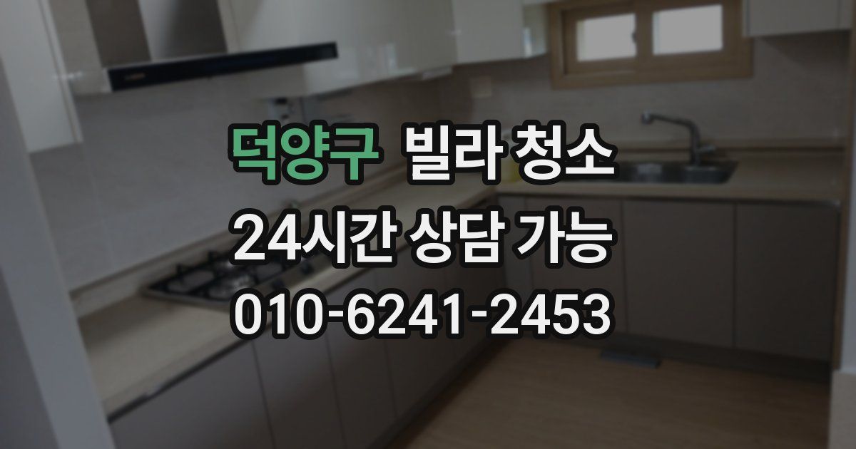 덕양구 빌라 청소