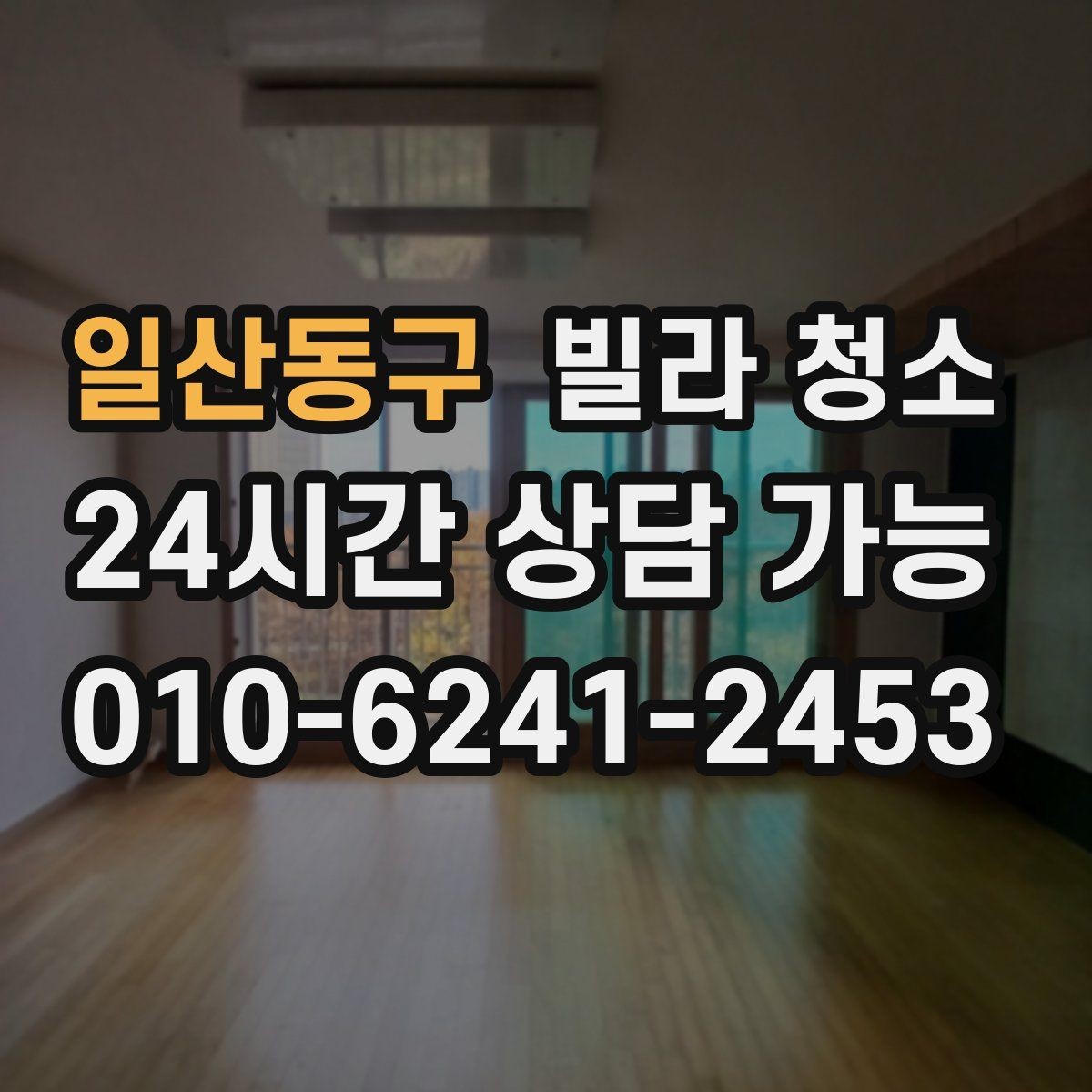 일산동구 빌라 청소 장비(스팀 흡입) 사용이 필요한 구역 정리