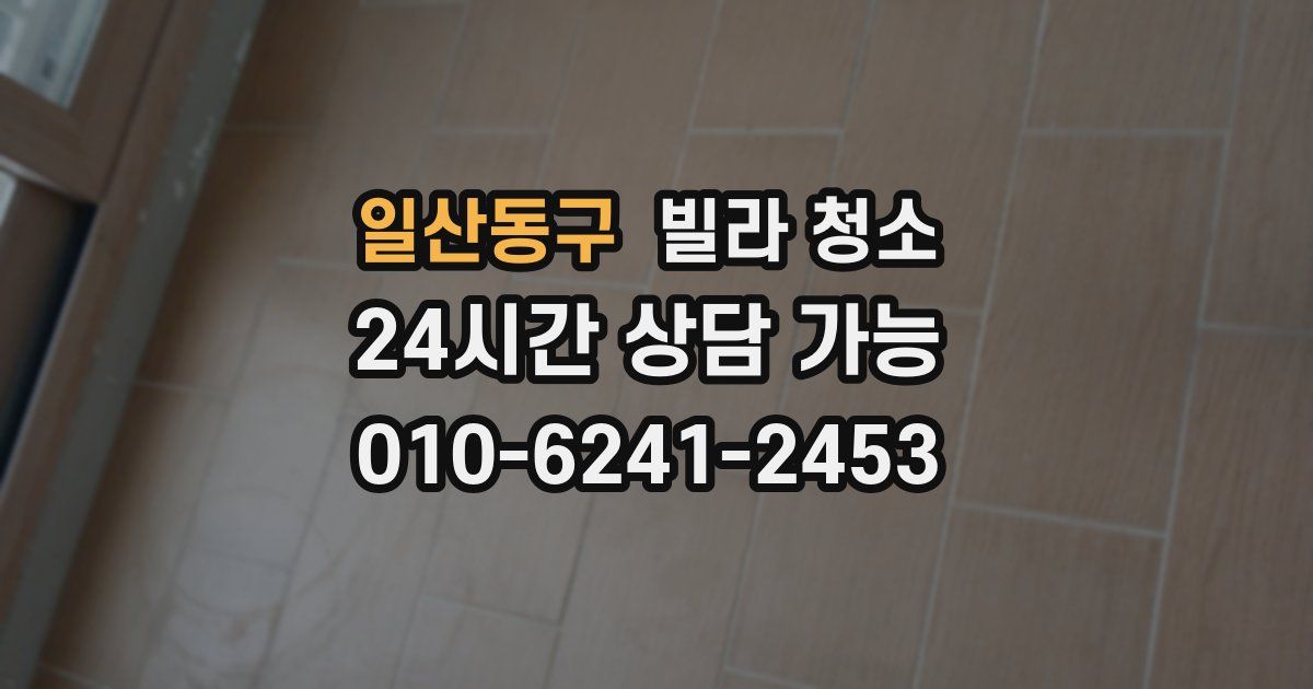 일산동구 빌라 청소