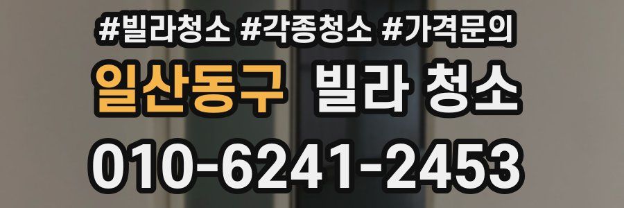 일산동구 빌라 청소