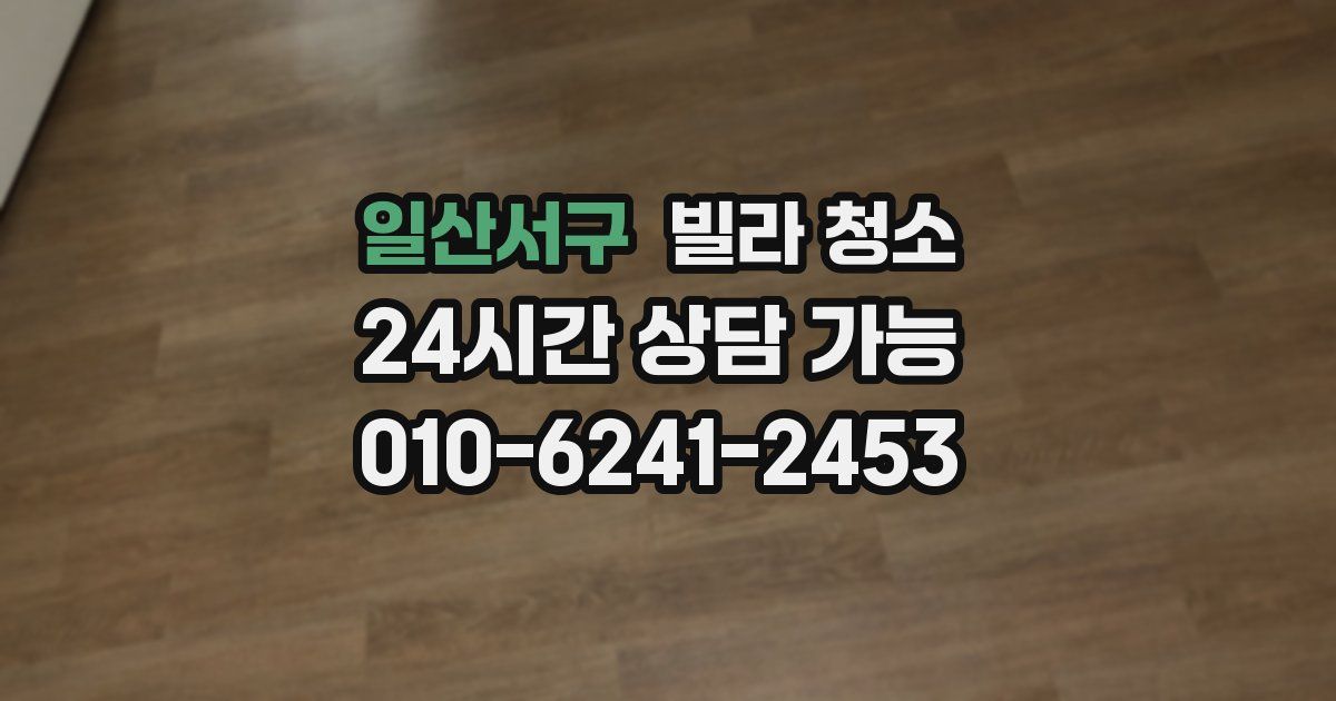 일산서구 빌라 청소