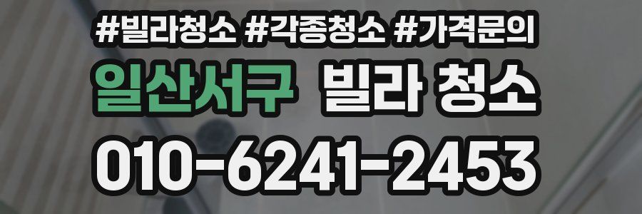 일산서구 빌라 청소