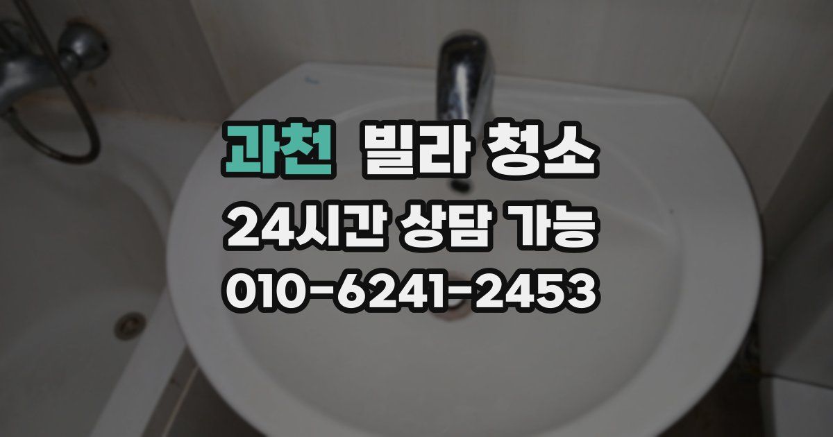 과천 빌라 청소