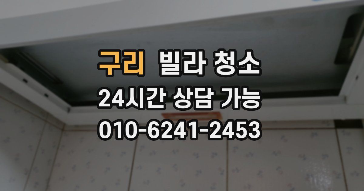 구리 빌라 청소