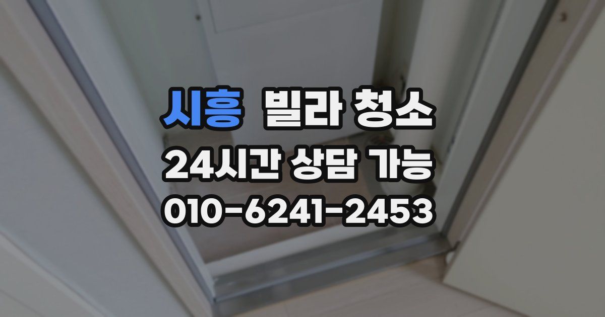 시흥 빌라 청소