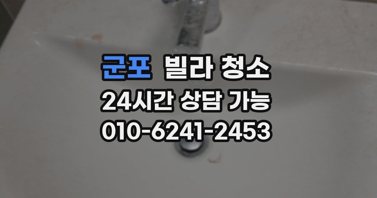 군포 빌라 청소