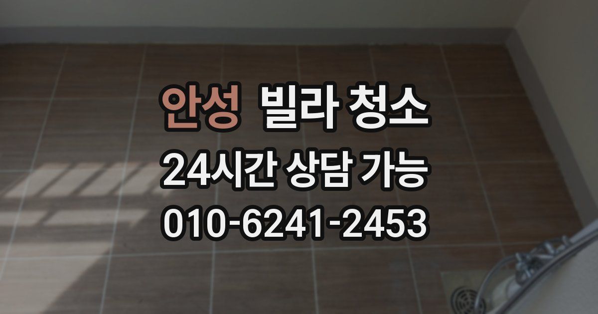 안성 빌라 청소