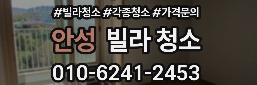 안성 빌라 청소