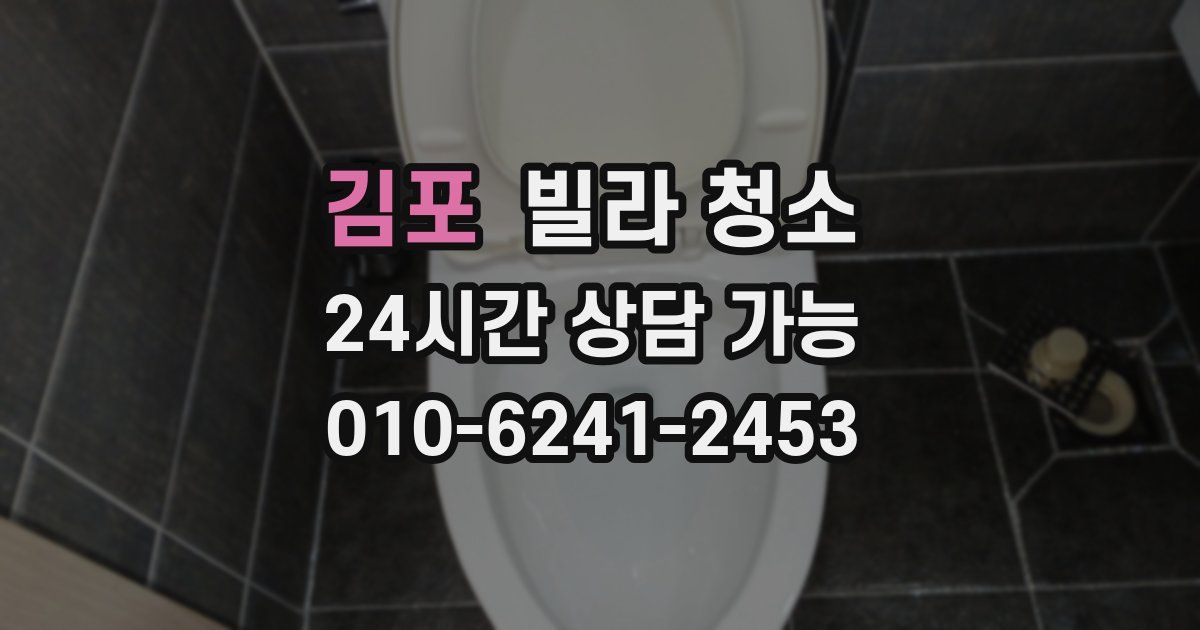 김포 빌라 청소