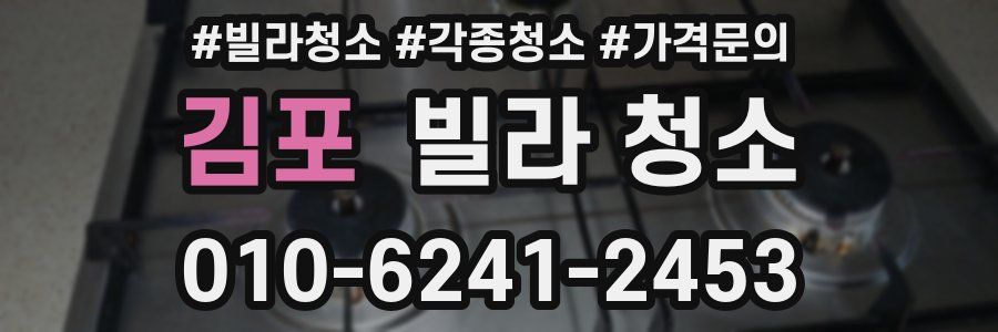 김포 빌라 청소