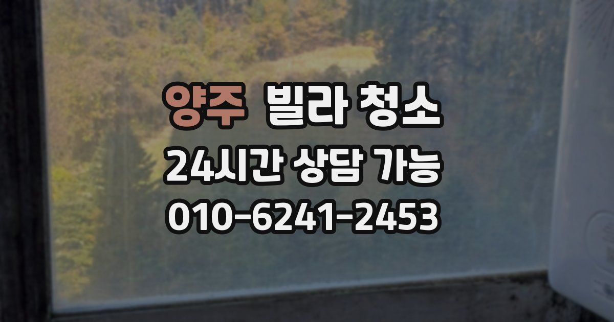 양주 빌라 청소