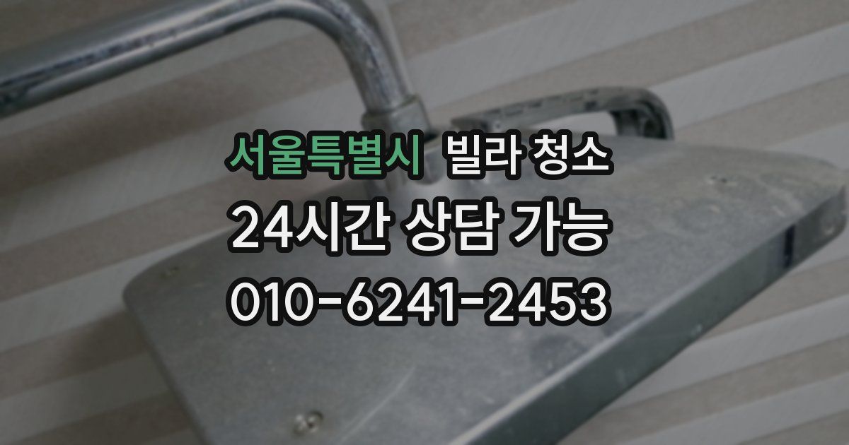 서울특별시 빌라 청소