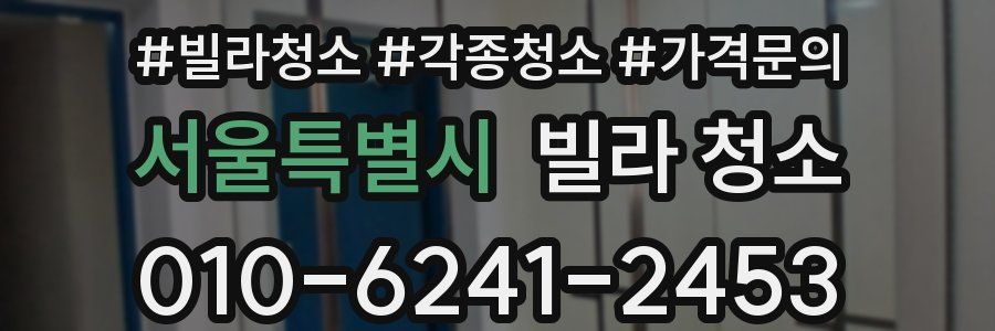 서울특별시 빌라 청소