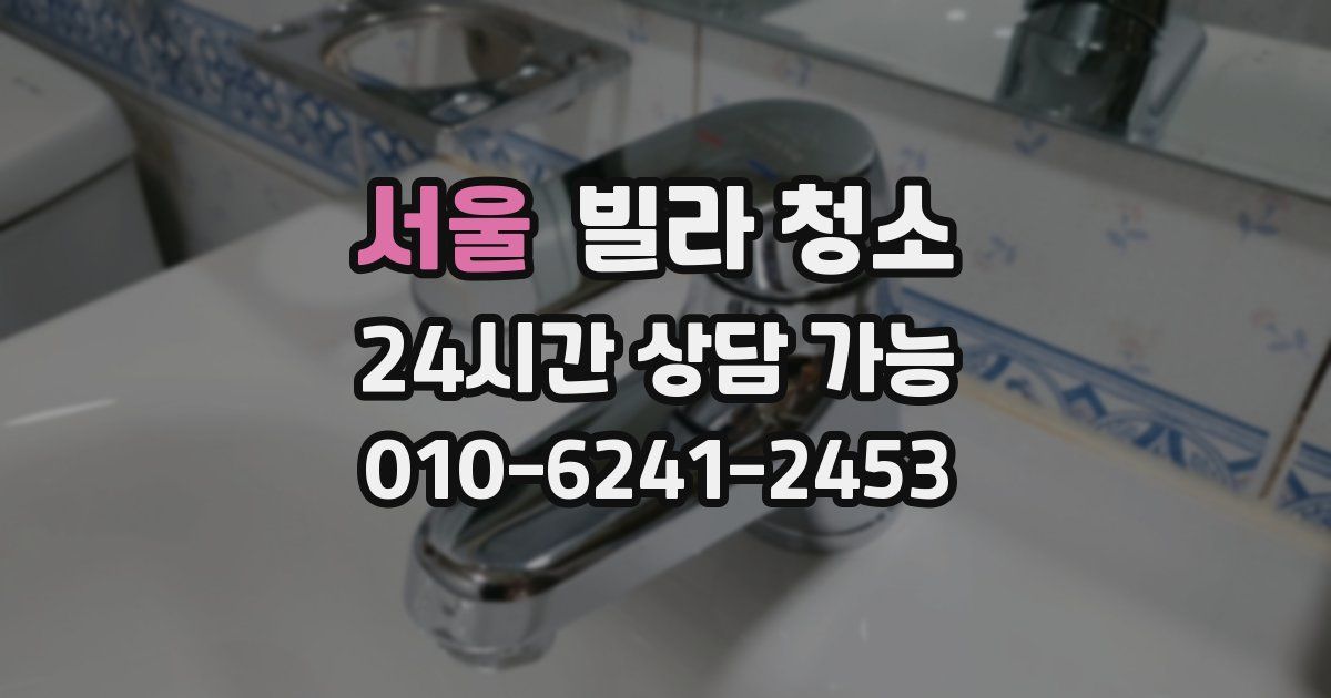 서울 빌라 청소