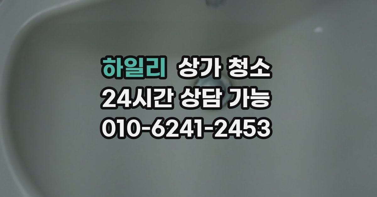 하일리 상가 청소