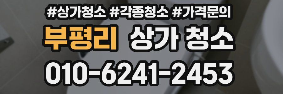 부평리 상가 청소