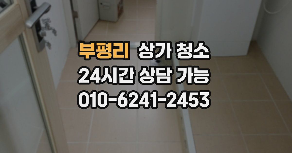 부평리 상가 청소