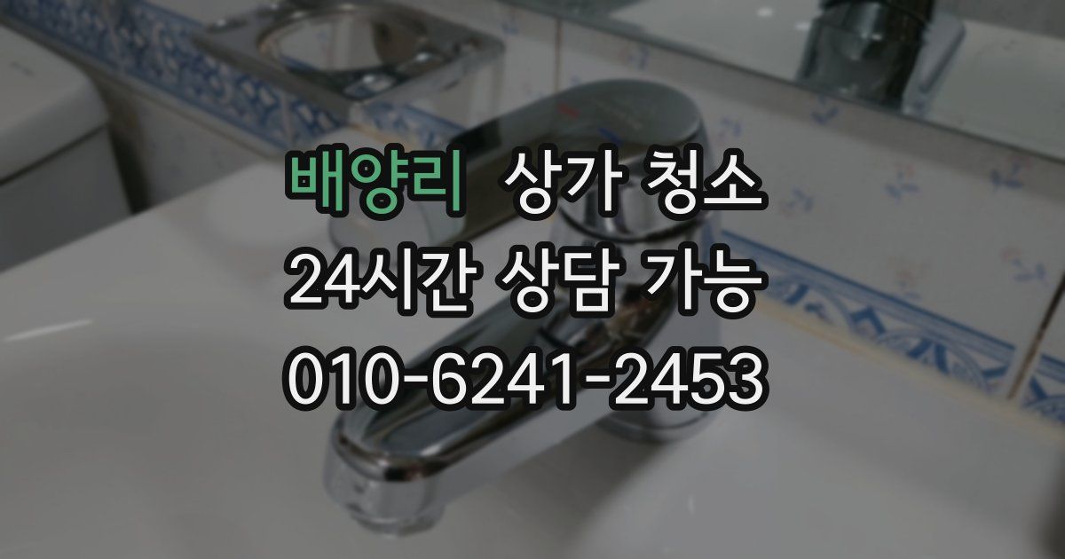 배양리 상가 청소