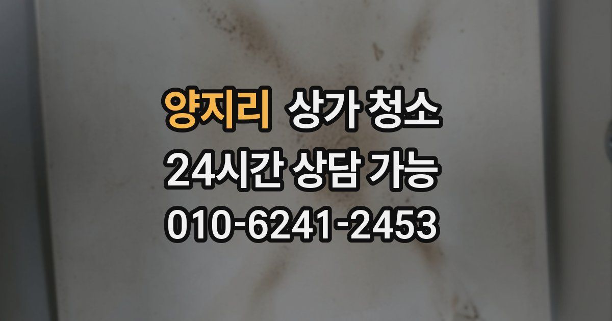 양지리 상가 청소