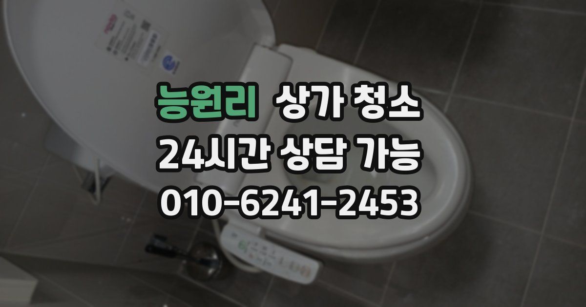 능원리 상가 청소