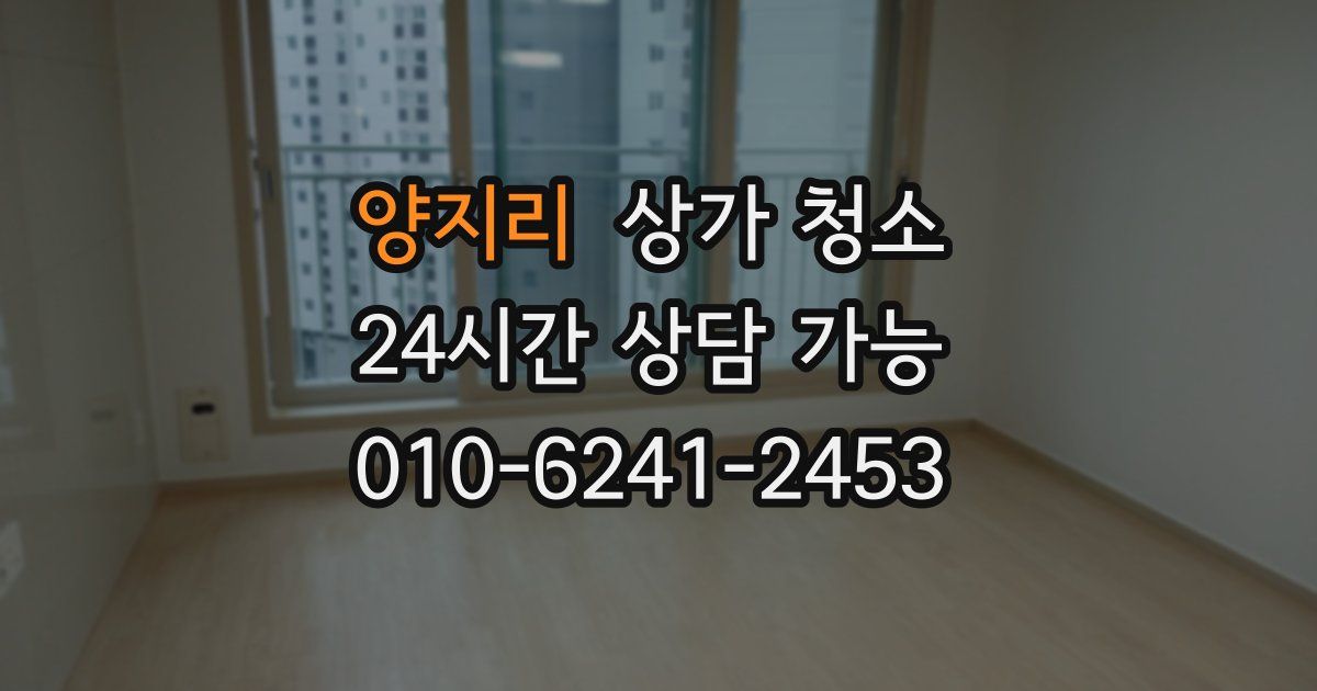 양지리 상가 청소