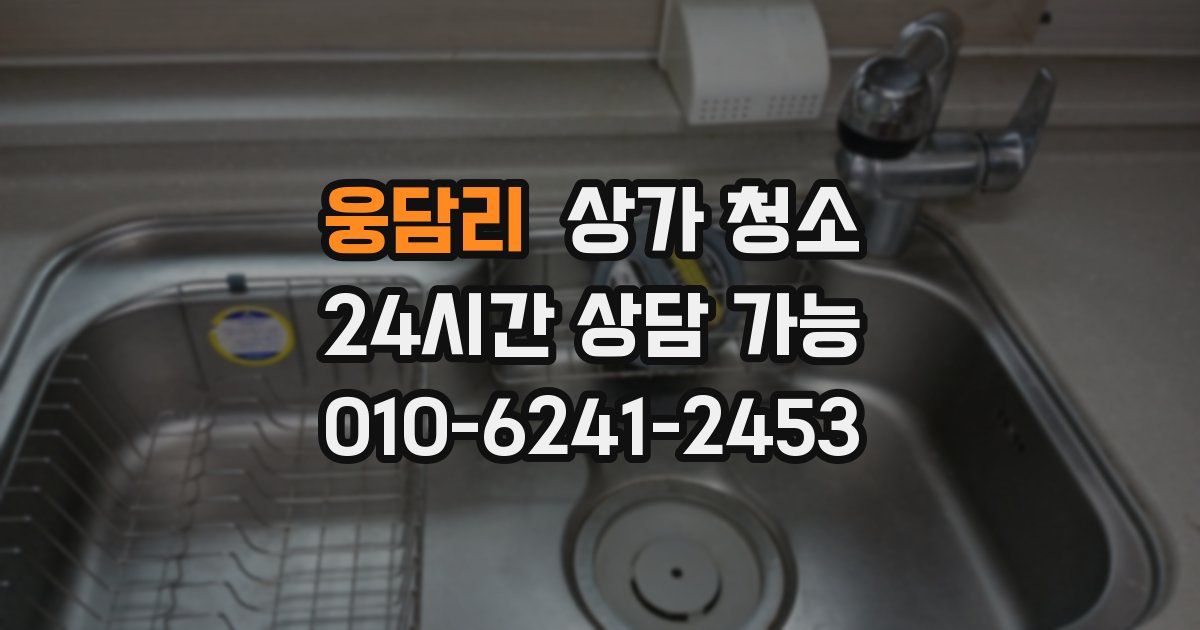 웅담리 상가 청소